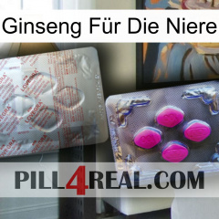 Ginseng Für Die Niere 38